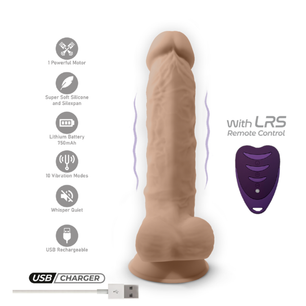 Silexd Vibration With LRS Model