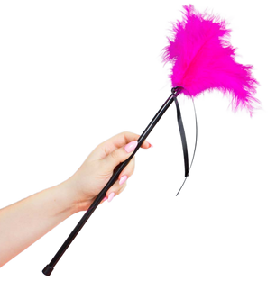 SECRETPLAY - Piume Rosa 40 Cm
