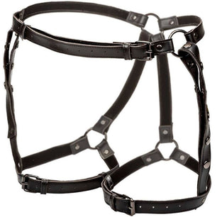 CALEXOTICS - Euphoria Pettorina da Equitazione Plus Taglia