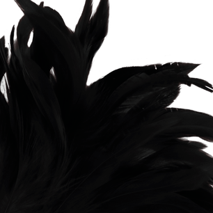 DARKNESS - Penna Stimolante Lux Nera